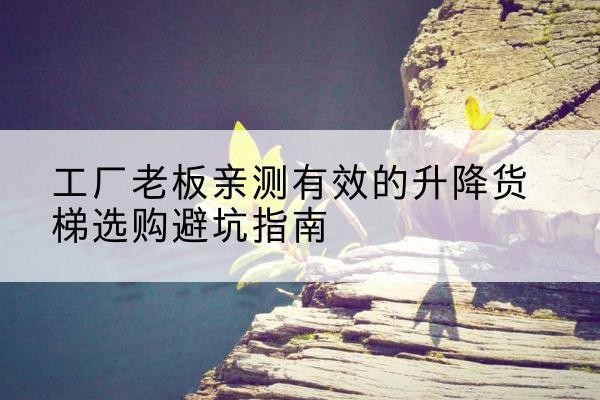 大悟升降货梯怎么选-工厂老板亲测有效的升降货梯选购避坑指南