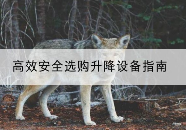 大悟升降货梯厂家推荐-*安全选购升降设备指南