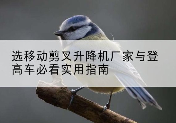 大悟电动升降机厂家-选移动剪叉升降机厂家与登高车必看实用指南