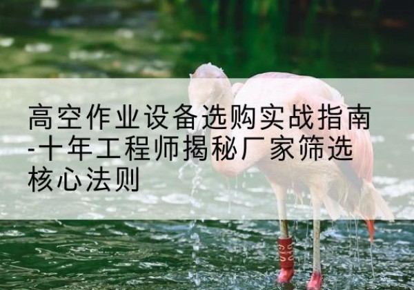 大悟剪叉式升降机厂家-高空作业设备选购实战指南-十年工程师揭秘厂家筛选核心法则
