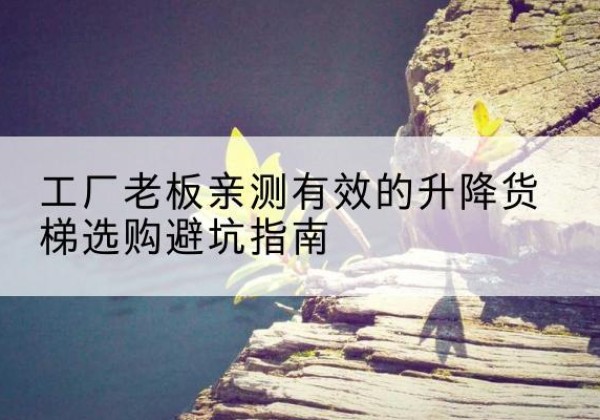 大悟升降货梯怎么选-工厂老板亲测有效的升降货梯选购避坑指南